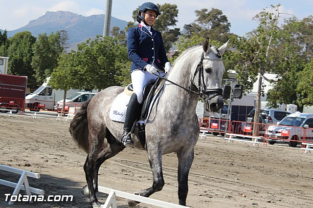Feria Internacional del Caballo 2015 (Lorca) - 65