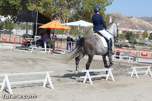 Feria Internacional del Caballo 2015 (Lorca) - 68