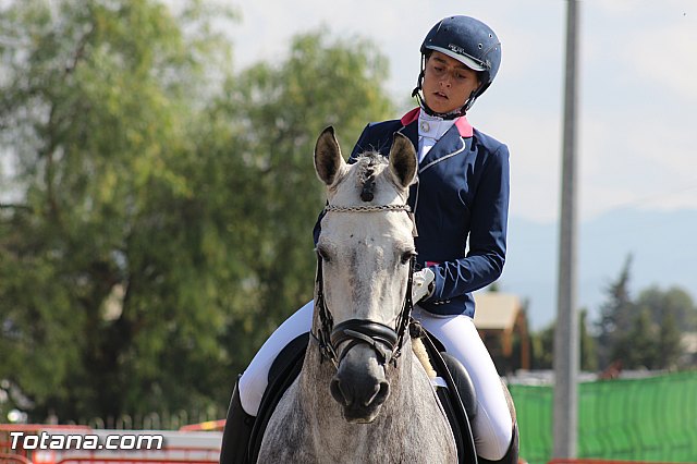 Feria Internacional del Caballo 2015 (Lorca) - 80