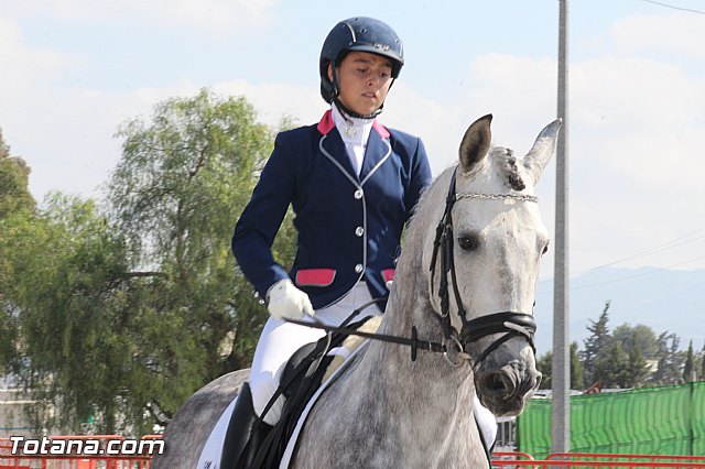Feria Internacional del Caballo 2015 (Lorca) - 81