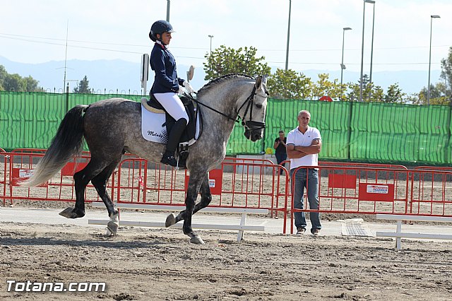 Feria Internacional del Caballo 2015 (Lorca) - 93