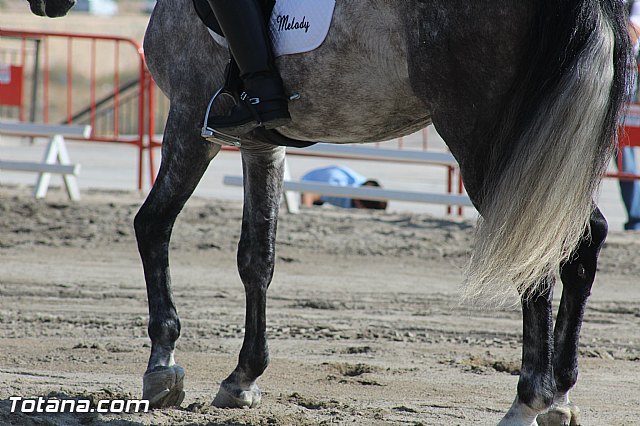 Feria Internacional del Caballo 2015 (Lorca) - 94