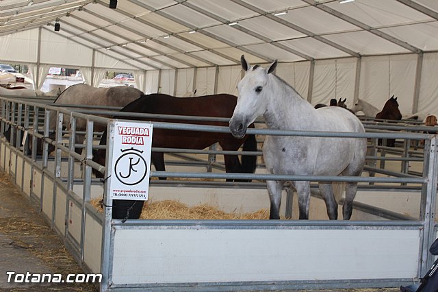 Feria Internacional del Caballo 2015 (Lorca) - 102