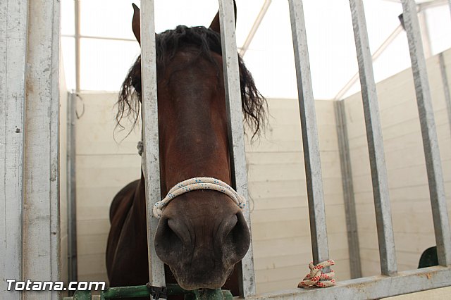Feria Internacional del Caballo 2015 (Lorca) - 107