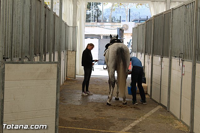 Feria Internacional del Caballo 2015 (Lorca) - 112