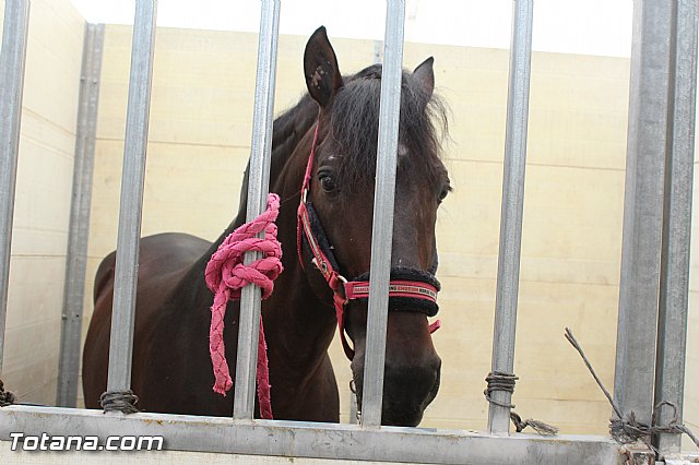 Feria Internacional del Caballo 2015 (Lorca) - 122