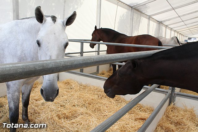 Feria Internacional del Caballo 2015 (Lorca) - 126