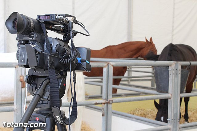 Feria Internacional del Caballo 2015 (Lorca) - 136