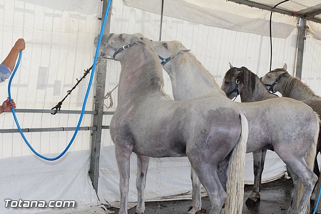 Feria Internacional del Caballo 2015 (Lorca) - 141