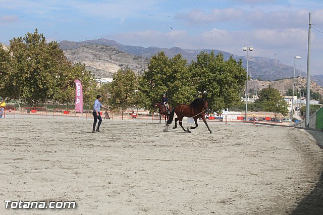 Feria Internacional del Caballo 2015 (Lorca) - 144