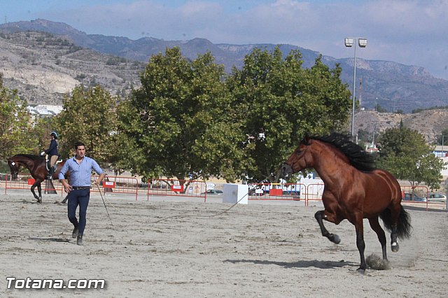 Feria Internacional del Caballo 2015 (Lorca) - 145