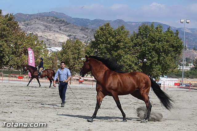 Feria Internacional del Caballo 2015 (Lorca) - 146