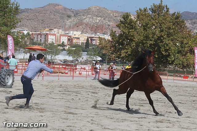 Feria Internacional del Caballo 2015 (Lorca) - 147