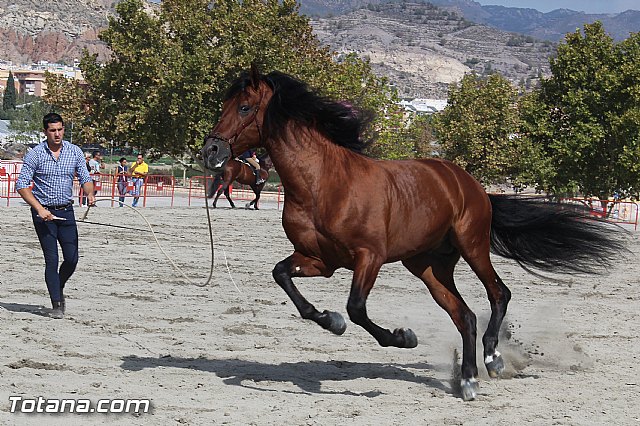 Feria Internacional del Caballo 2015 (Lorca) - 148