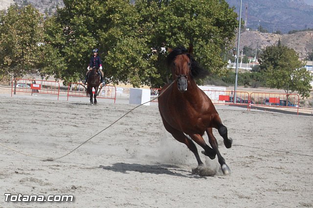 Feria Internacional del Caballo 2015 (Lorca) - 149