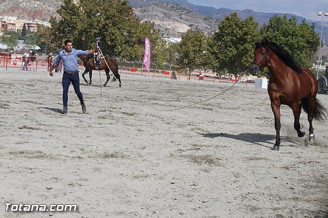 Feria Internacional del Caballo 2015 (Lorca) - 151