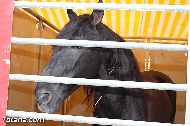 Feria Internacional del Caballo 2015 (Lorca) - 159