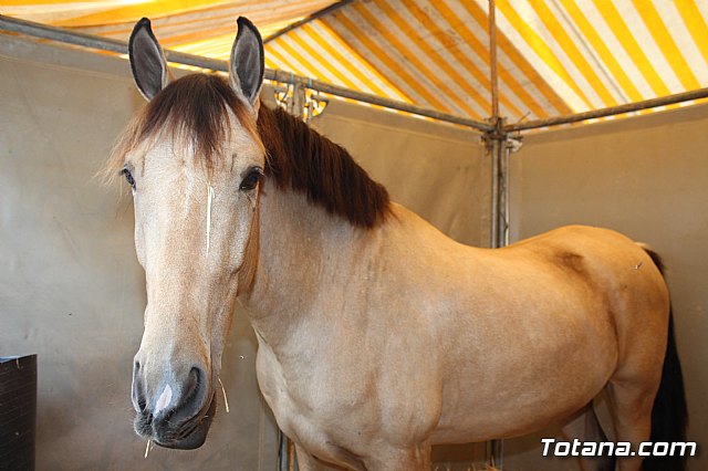 Feria Internacional del Caballo 2015 (Lorca) - 160