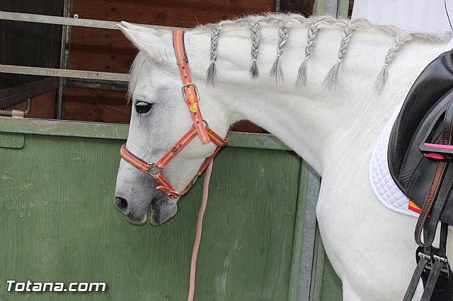 Feria Internacional del Caballo 2015 (Lorca) - 163
