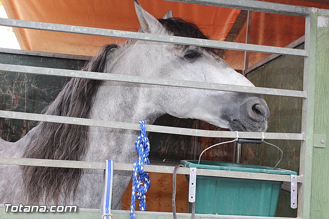 Feria Internacional del Caballo 2015 (Lorca) - 164