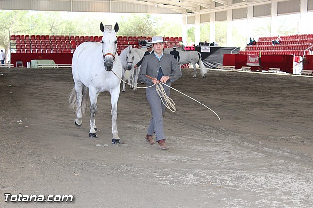 Feria Internacional del Caballo 2015 (Lorca) - 167