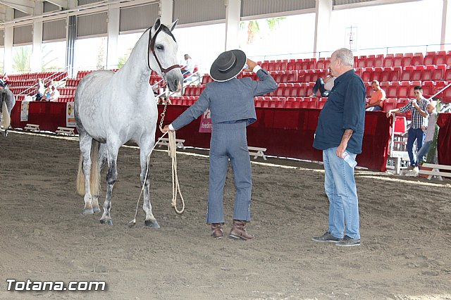 Feria Internacional del Caballo 2015 (Lorca) - 169