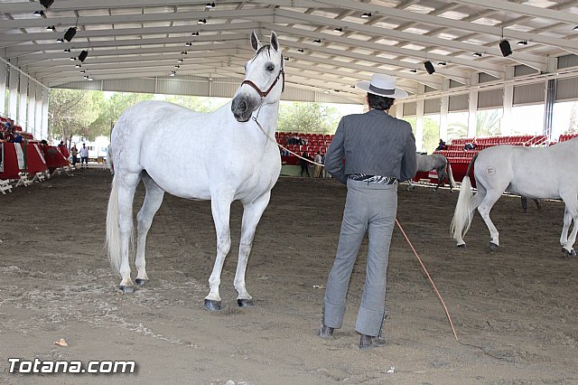 Feria Internacional del Caballo 2015 (Lorca) - 170