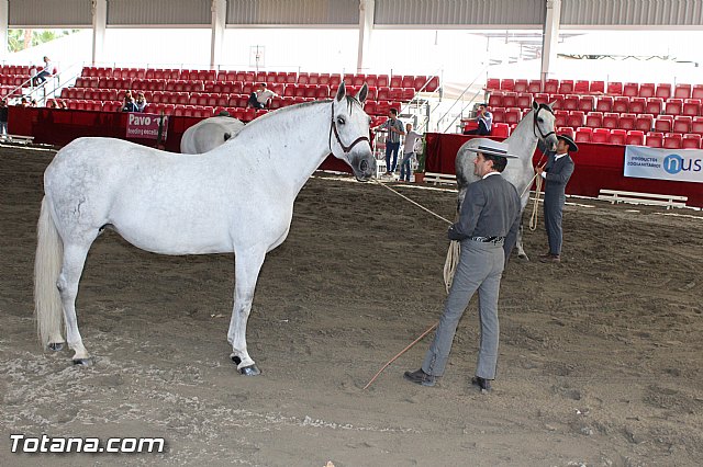 Feria Internacional del Caballo 2015 (Lorca) - 171