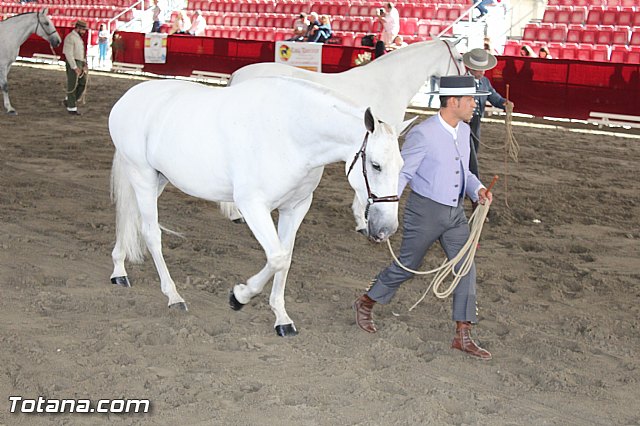 Feria Internacional del Caballo 2015 (Lorca) - 172