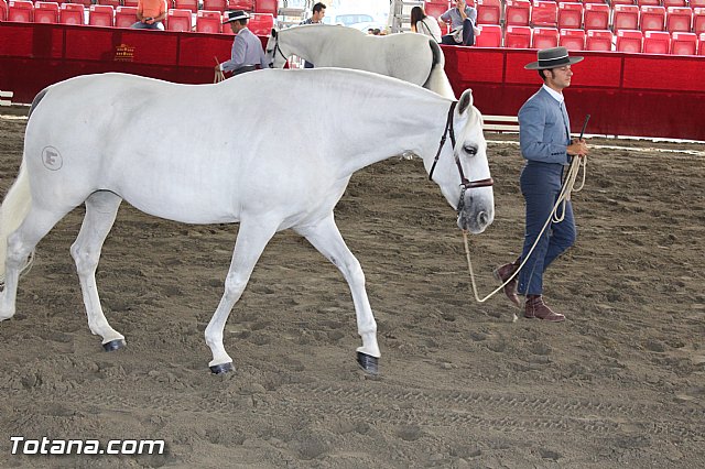Feria Internacional del Caballo 2015 (Lorca) - 173