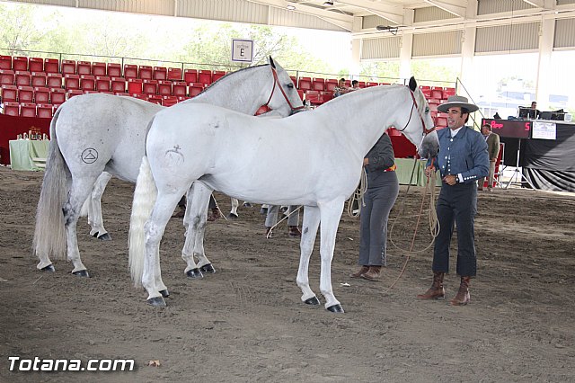 Feria Internacional del Caballo 2015 (Lorca) - 174
