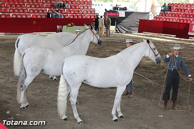 Feria Internacional del Caballo 2015 (Lorca) - 177