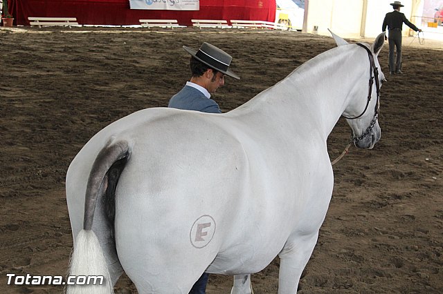 Feria Internacional del Caballo 2015 (Lorca) - 178
