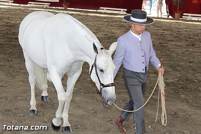 Feria Internacional del Caballo 2015 (Lorca) - 179