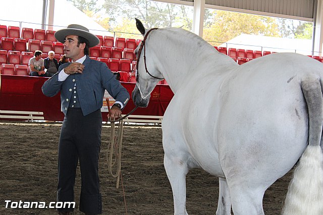 Feria Internacional del Caballo 2015 (Lorca) - 180