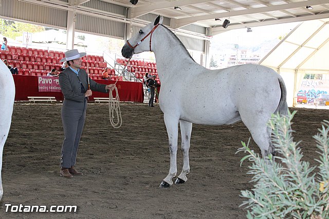 Feria Internacional del Caballo 2015 (Lorca) - 181