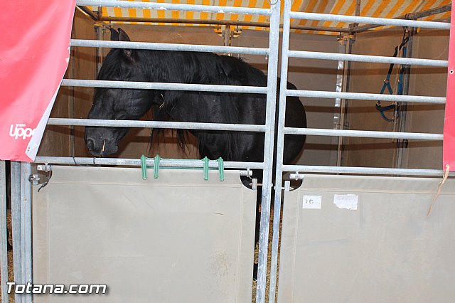 Feria Internacional del Caballo 2015 (Lorca) - 182