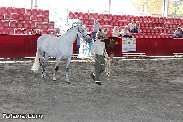 Feria Internacional del Caballo 2015 (Lorca) - 183
