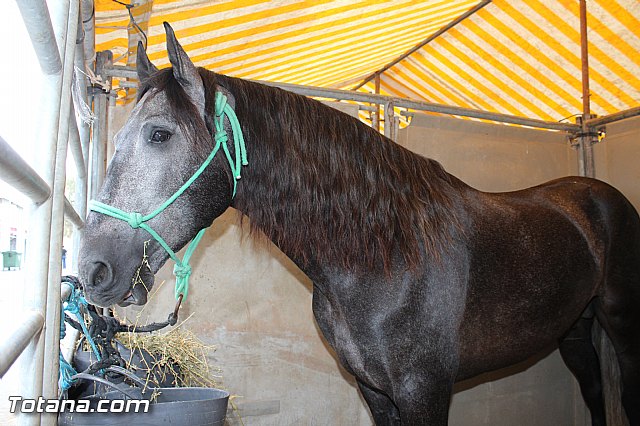 Feria Internacional del Caballo 2015 (Lorca) - 185
