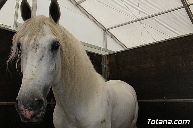 Feria Internacional del Caballo 2015 (Lorca) - 187