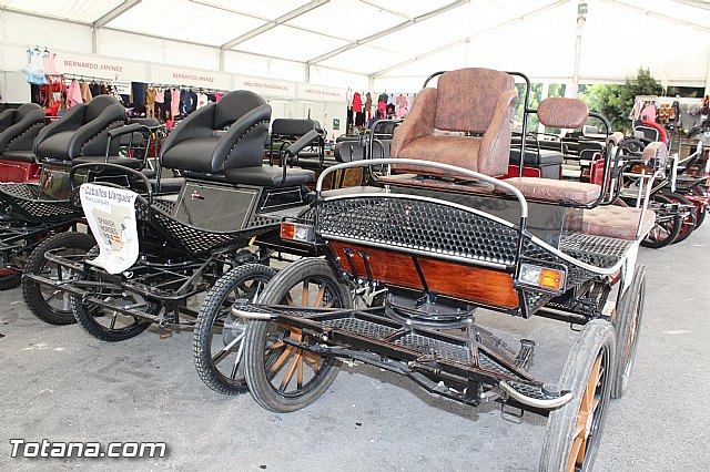 Feria Internacional del Caballo 2015 (Lorca) - 188