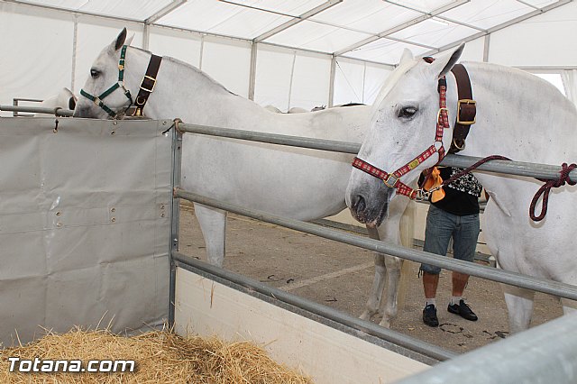 Feria Internacional del Caballo 2015 (Lorca) - 196