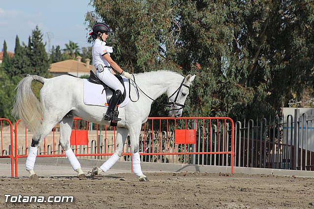 Feria Internacional del Caballo 2015 (Lorca) - 198
