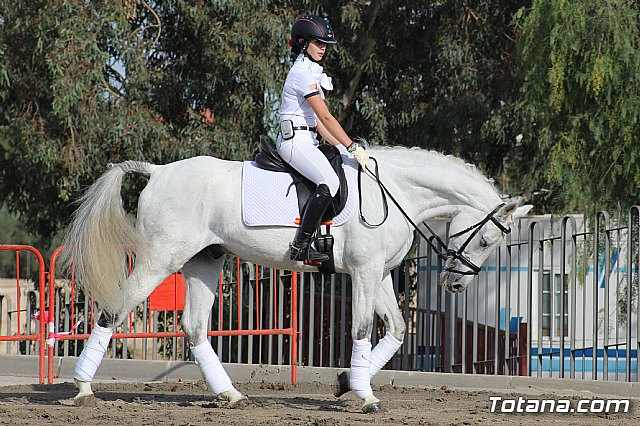 Feria Internacional del Caballo 2015 (Lorca) - 199