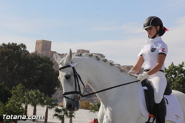 Feria Internacional del Caballo 2015 (Lorca) - 215