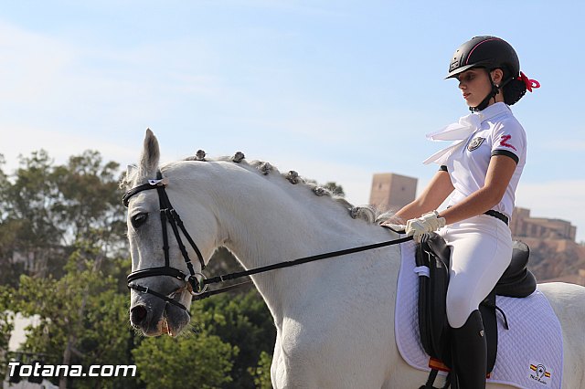 Feria Internacional del Caballo 2015 (Lorca) - 216