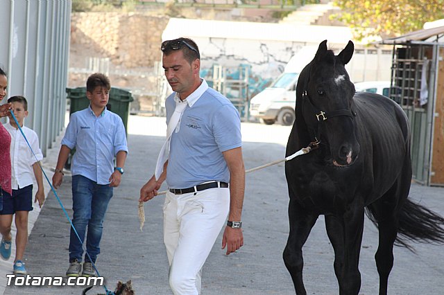 Feria Internacional del Caballo 2015 (Lorca) - 242