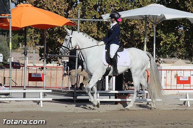 Feria Internacional del Caballo 2015 (Lorca) - 245