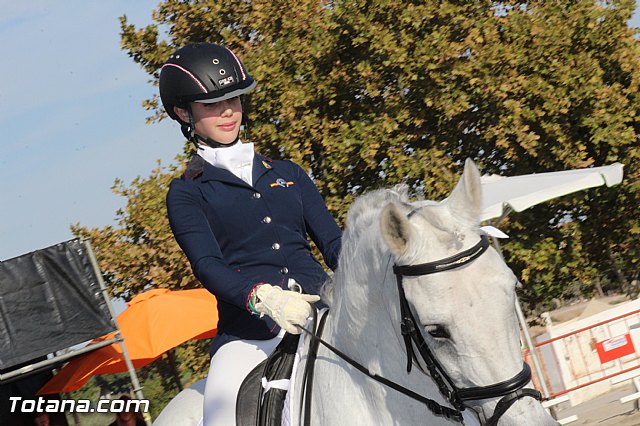 Feria Internacional del Caballo 2015 (Lorca) - 246