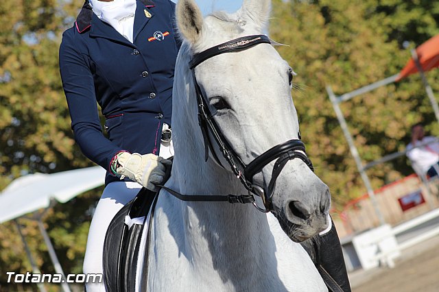 Feria Internacional del Caballo 2015 (Lorca) - 248